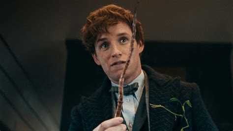 eddie redmayne mannequin burberry|who played newt scamander.